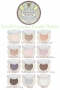 [Beautiful Makeup Search - Springfield]