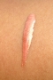 [Makeup and Beauty Blog - San Francisco]
