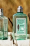 L'Occitane