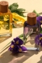 The Body Shop